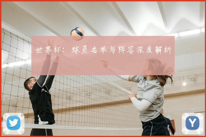 世界杯：球员名单与阵容深度解析