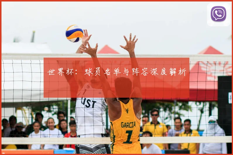 世界杯：球员名单与阵容深度解析
