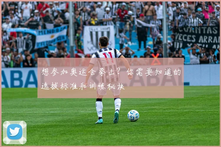 想参加奥运会拳击？你需要知道的选拔标准和训练秘诀